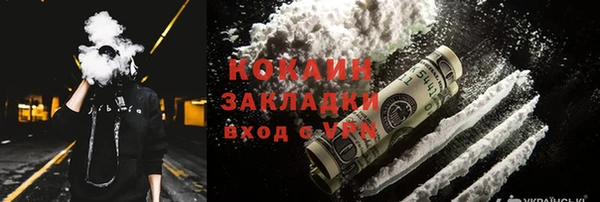 соль ск Кулебаки