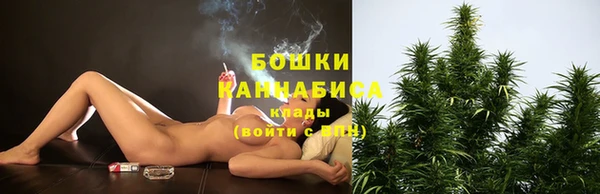 ALPHA PVP Краснослободск