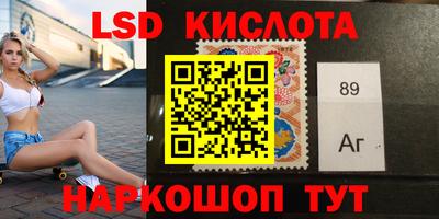 mdpv Краснознаменск