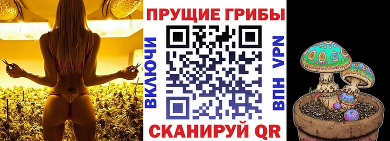 продажа наркотиков  Урус-Мартан  Псилоцибиновые грибы Magic Shrooms 
