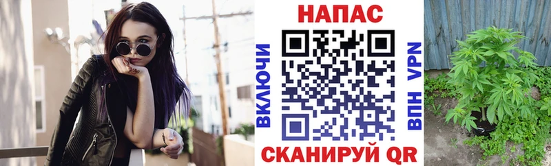 Шишки марихуана гибрид  blacksprut рабочий сайт  Урус-Мартан 